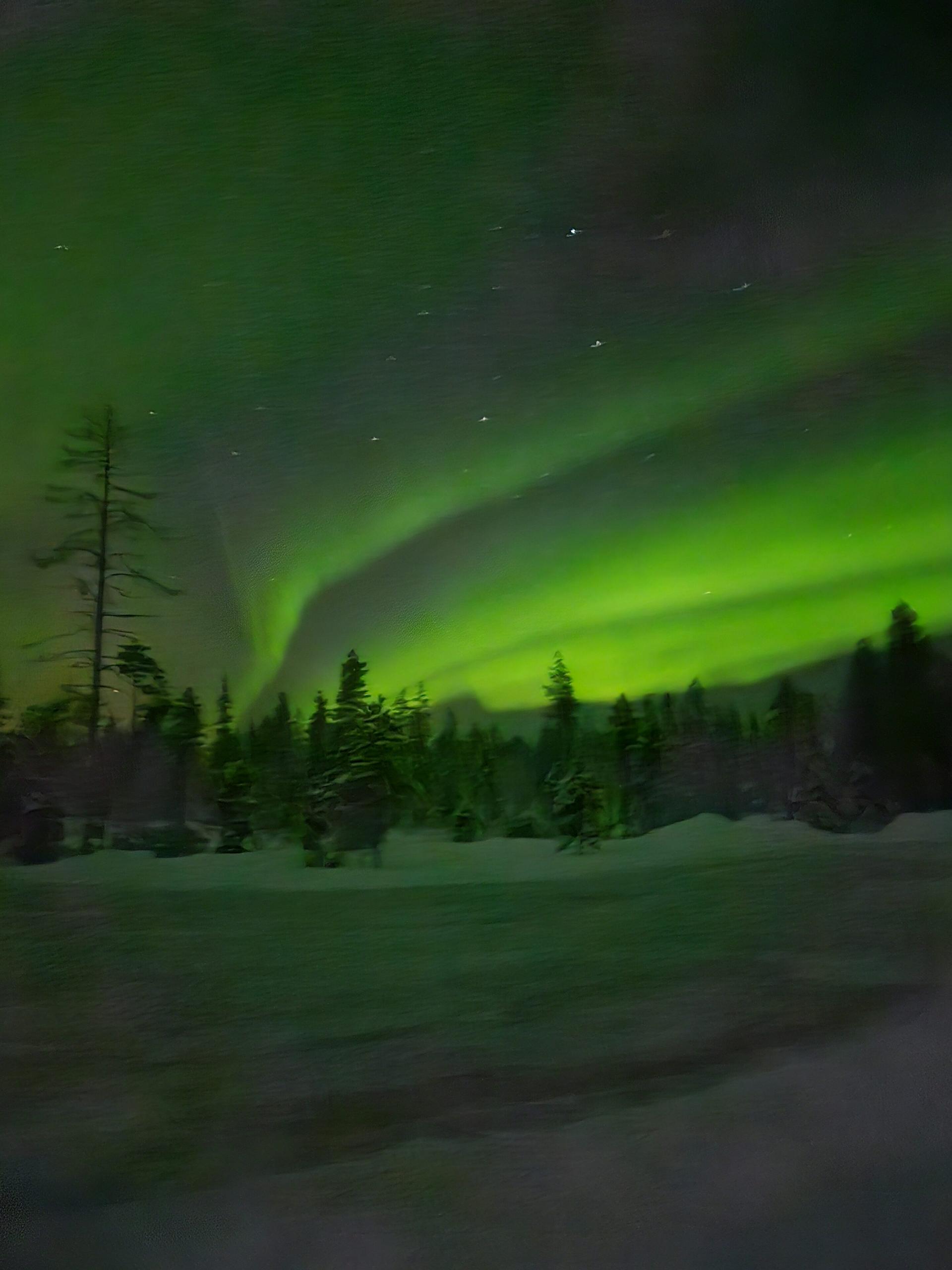 Green northern lights sweeping across the sky above Kotatieva’s snowy forest