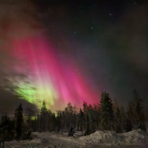 Northern lights experience