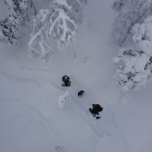 Snowshoe Safari