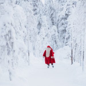 Santa’s Secret Forest Walk (Coming soon)