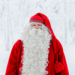 Santa's secret forest walk